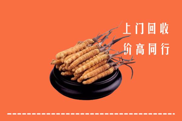 沈阳和平区回收散虫草