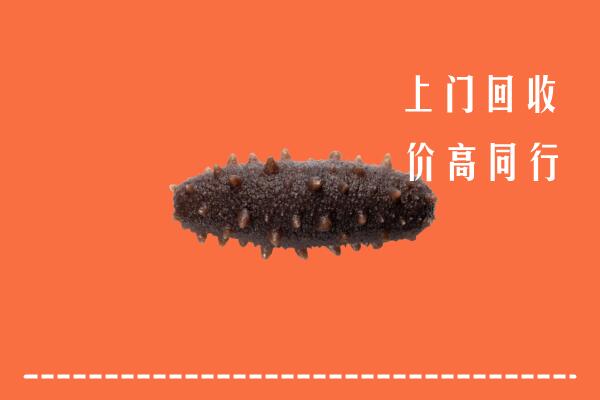 沈阳和平区回收海参